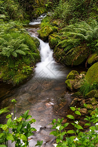 环境山武加葡萄牙格里索河中美丽的水流长期接触光滑效应图片