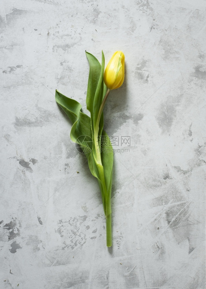 食物四月季节黄色郁金花桌分辨率和高品质的美丽照片顶端视图黄色郁金花桌高质量和分辨率的漂亮照片概念质量和分辨率图片