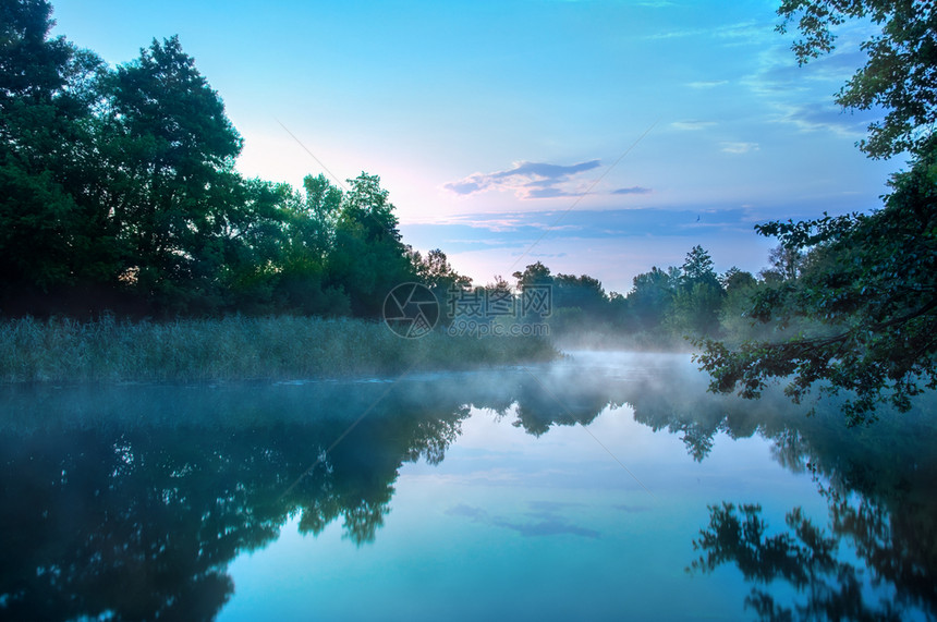 绿色季节清晨乌克兰塞弗斯基顿涅河平静的流雾自然图片