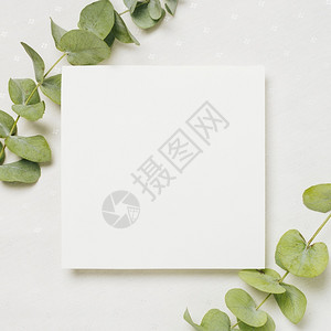 美丽的植物树叶枝角白色婚礼卡背景下分辨率和高品质美丽照片树叶枝角白色婚礼卡背景下高品质和分辨率美丽照片概念假期背景图片