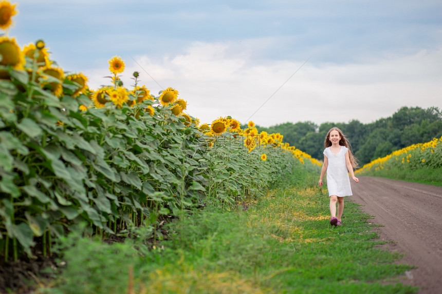 沿着田野向日葵走在路上的漂亮女孩一个长发的美丽肖像沿着田野向日葵走在路上的漂亮女孩花距离一种图片