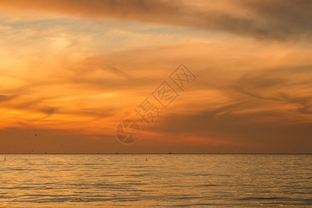 反射海岸天空黑日落景观橙色烧花日落自然摄影图片