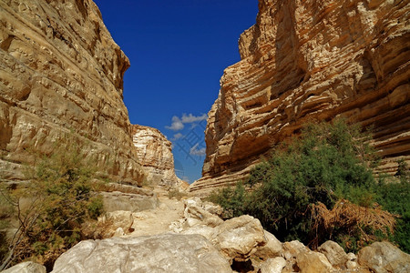 奥瑞比峡谷景区EinAvdatEinOvdat峡谷风景秀丽的悬崖在以色列中间自然背景