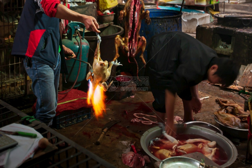 屠夫在本地市场一家屠宰用火炬烧鸡和狗的屠夫胴体动物销售图片