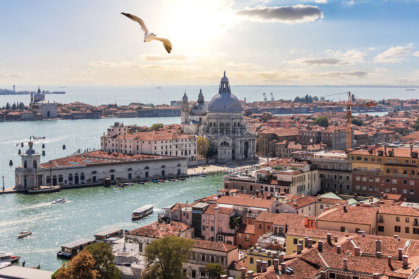 城市的威尼斯全景意大利坎帕尼莱的圣玛丽亚德拉萨鲁特著名的图片