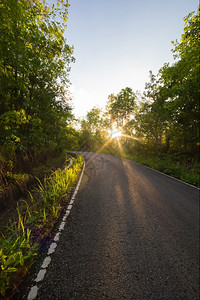 在后面森林中与太阳背后的道路风景名胜公园图片