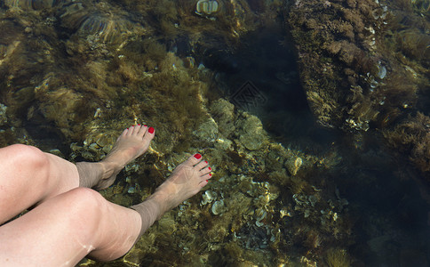 女孩美丽的感穿红色脚指甲女腿被降至亚得里海透明的洋水域中图片