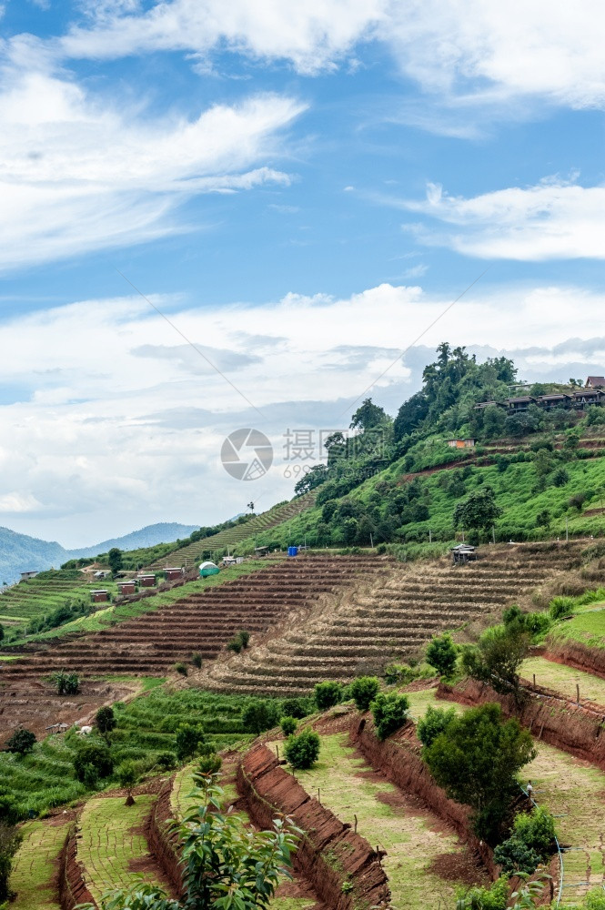 MonChamJam山的美丽自然MaeRim泰国Chiangmai著名的旅游地点早晨生产花的图片