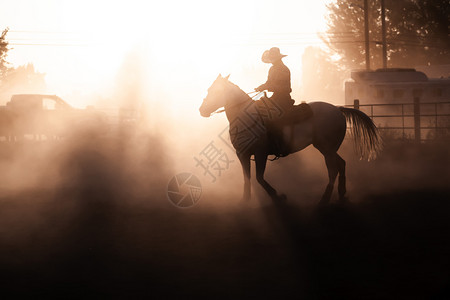 日落的太阳休谢马背上骑手古洛士罗德奥达斯地帝竞技场牛仔表演骑兵人类图片