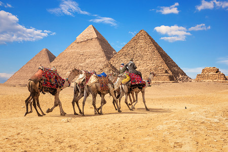 观光在埃及著名的吉萨金字塔前骑骆驼的贝都因人在埃及著名的吉扎金字塔前骑骆驼的贝都因人自然法老背景图片