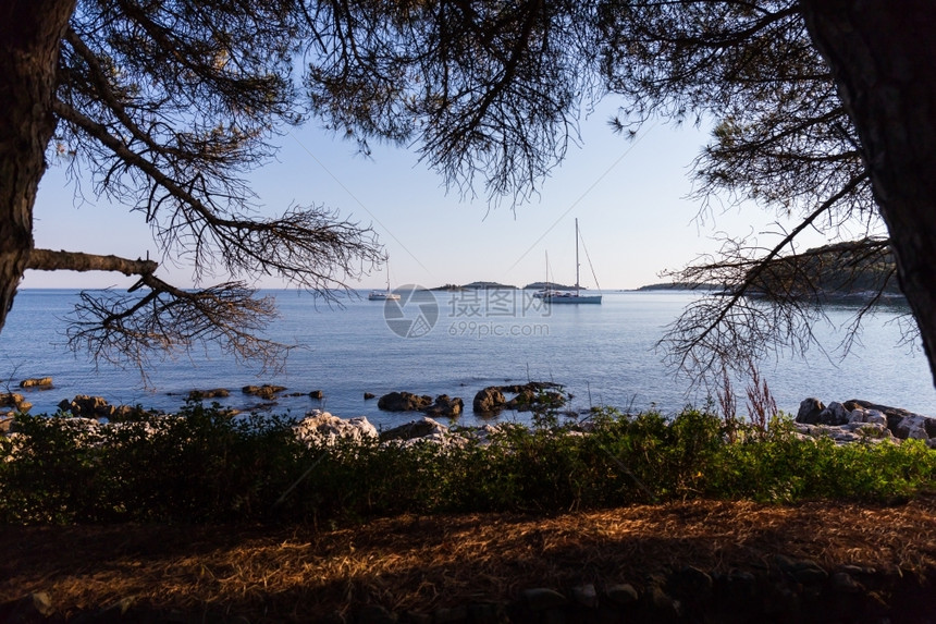 华丽的Rovinj克罗地亚文杰海上日落和豪华游艇夏天娱乐图片