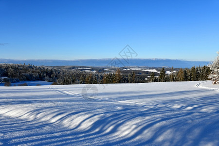 下雪的天气冬季风景分支高清图片