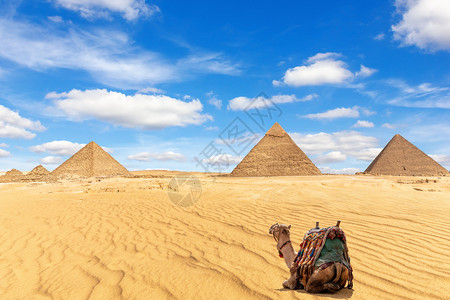 天空自然胡夫吉萨金字塔和沙漠中的骆驼埃及吉萨金字塔和沙漠中的骆驼埃及图片