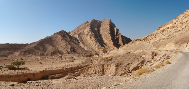 侵蚀沟石化沙漠中路边被抛光的褐色岩石自然图片