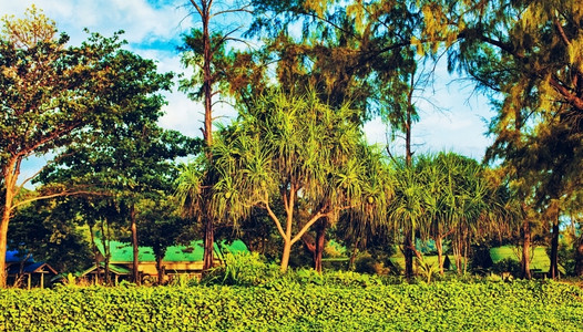 乡村的夏令博斯凯奇泰国KohLanta的深红农村地貌图片
