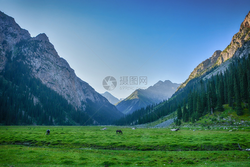 环境白色的平静吉尔斯坦山区美丽的风景林有岩石fir树和蓝天空平户外场景图片