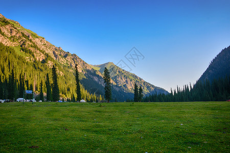 草地夏天吉尔斯坦山区美丽的风景林有岩石fir树和蓝天空平户外场景图片
