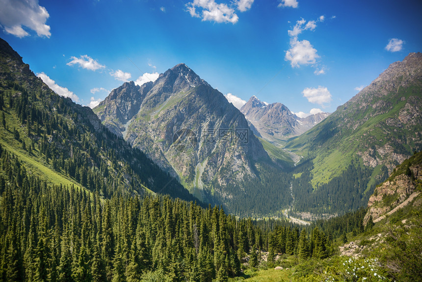 吉尔斯坦山区美丽的风景林有岩石fir树和蓝天空平户外场景夏天极端高山图片