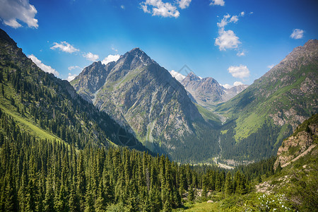 吉尔斯坦山区美丽的风景林有岩石fir树和蓝天空平户外场景夏天极端高山图片