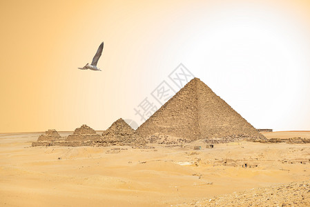 天空皇后乐队海鸥覆盖法老奎恩斯海格尔和希腊金字塔的考古学图片