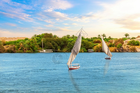 费卢卡斯努比亚埃及阿斯旺努比安村尼罗河Feluccas和绿海岸游客风景优美背景