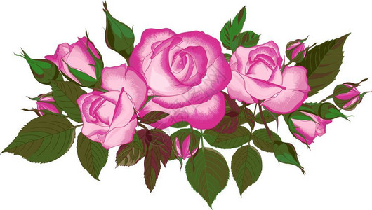 粉红玫瑰贺卡最佳奖婚礼邀请生日和暑假夏季背景的成套花束矢量盒式粉红色玫瑰最佳贺卡结婚邀请生日和假为了华丽的玫瑰花蕾背景图片