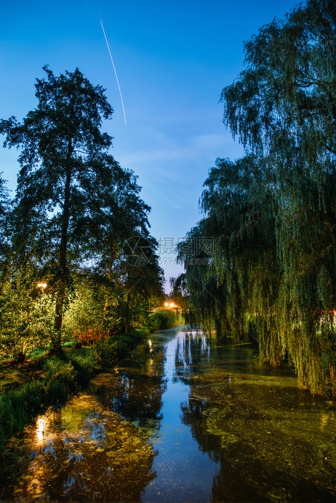 房屋塔美丽的夜晚荷兰树木和来自桥上运河的丰富多彩植物阿姆斯特尔图片