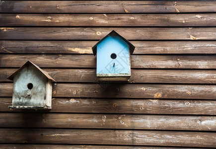 花园春天洞木墙上的鸟箱或屋背景纹理木墙上的鸟箱或屋背景纹理图片