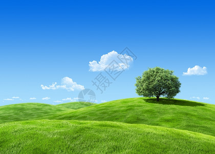 远景树草群丰富多彩的令人瞩目抽象3d背景壁纸系列蓝色的白设计图片