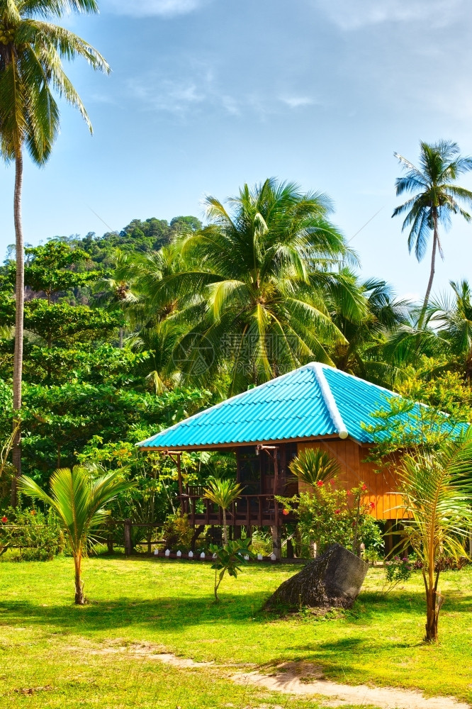 旅行泰国克拉比Krabi丛林中美丽的平房度假胜地植物夏令图片