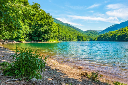 Biogradsko湖夏季在黑山中天晴美丽高清图片