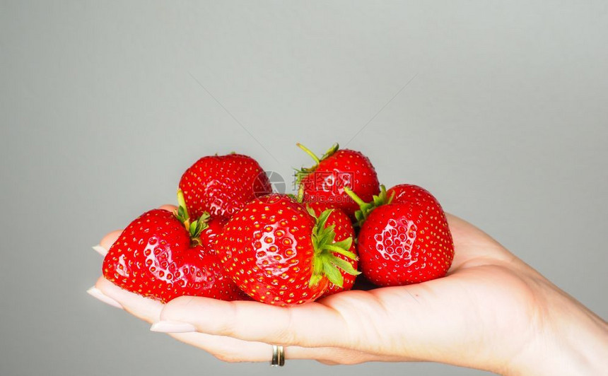 向手指保持满的红鲜嫩成熟草莓被灰色背景所隔离图片