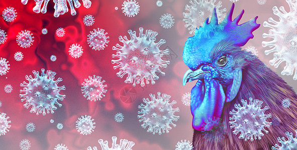 鸡脯肉鸟类流感和稀有菌株感染牲畜作为鸡和家禽全球传染病爆发和疾控制概念或农业公共安全标志的3D插图要素健康风险作为养鸡和家禽带有3D说设计图片