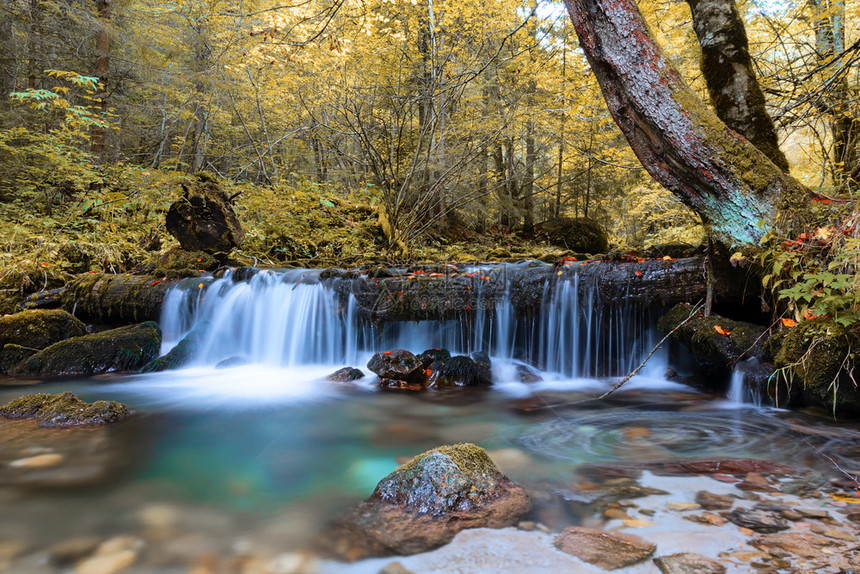 秋季美丽瀑布的紧贴在罗马尼亚拉奇蒂勒附近拍摄图像落下橙蓝色的图片