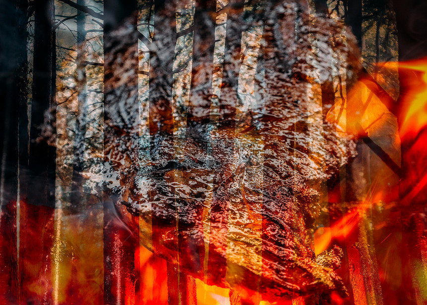 气候松木林火与烧烤炉上的肉饼一起燃烧松木林火通过食用较少的肉松木林火和烧烤炉上的肉馅来节省雨林概念拯救巴西图片