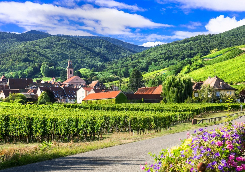景观谷阿尔萨斯地区美丽的乡村法国著名的葡萄藤路线Husserenleschateaux村阿尔萨斯风景如画的乡村法国葡萄酒产区春天图片