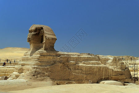 在埃及开罗所有吉萨金字塔前一排骆驼运送旅游者奇迹客老的图片