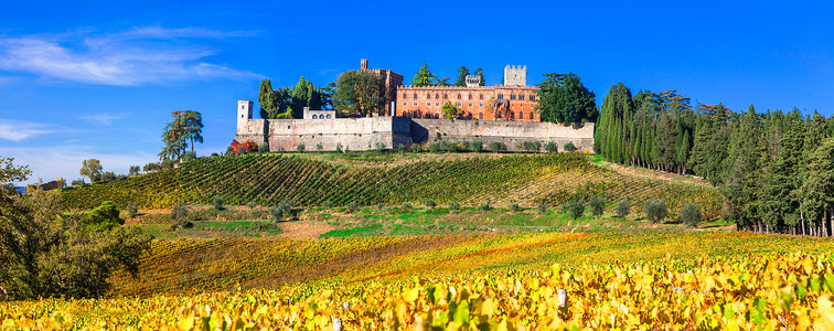 美丽的托斯卡纳风景金秋葡萄园和城堡农家乐景观滚动图片