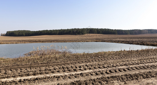 河道采砂湿地草原那里在农业田地的土上取水小坑在中发现鱼有稻草秋天风景或泉水收集的小坑采背景