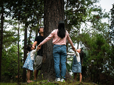 父亲就像大树幸福家庭在户外玩耍的欢乐家庭在大树周围握着对方的手欢乐家庭在户外玩游戏树木地球自然背景