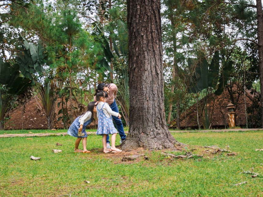 学习阳光母亲和女儿们早上在一棵大树探索自然快乐的家庭在户外玩耍家庭在一起度过时光健康图片