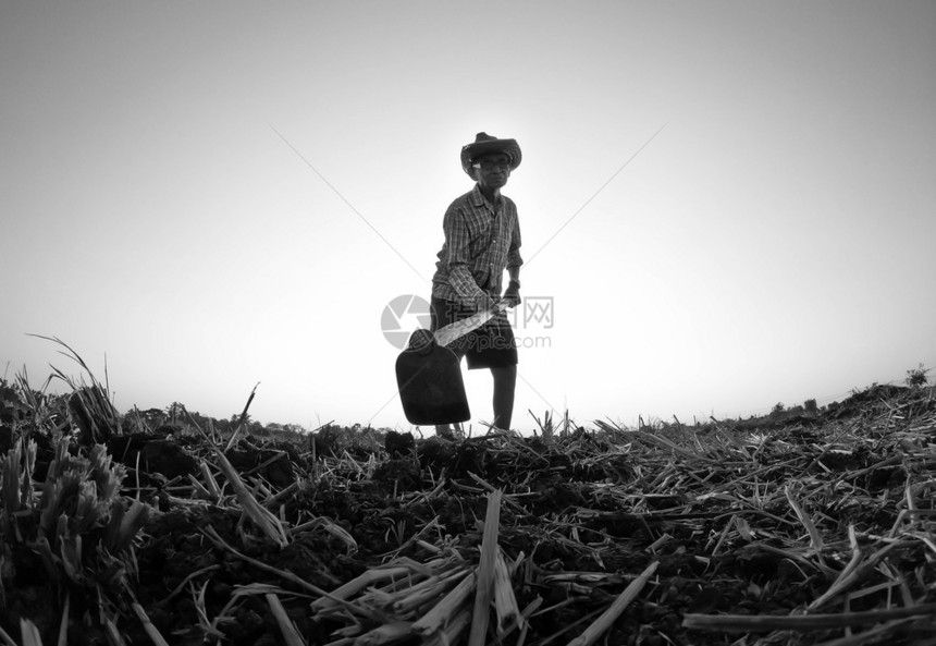 农场男亚洲年长的农民铲土为作准备在日落背景下耕种老的图片