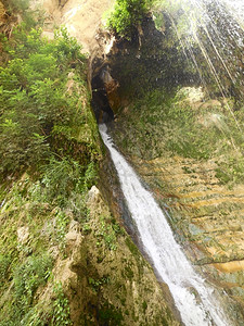 溪流EnGedi自然保护区和以色列公园瀑布岩石春天图片