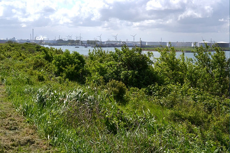 水卫队贮存岬角活动在Rozenburg的国土上除了自然以外许多行业都能看到鹿特丹港荷兰背景