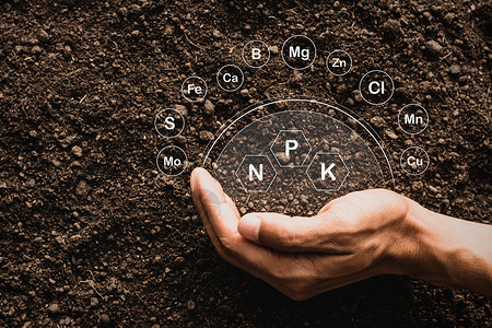 用标志技术在土壤中耕种的肥沃岩质土壤是植物的基本食植泥地面污垢图片
