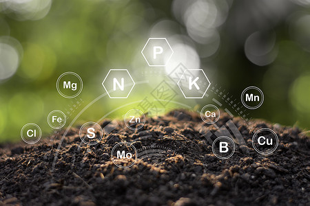用标志技术在土壤中耕种的肥沃岩质土壤是植物的基本食植地面标志农场图片