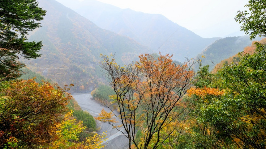 结石农村白色的在雨季日本风景优美秋季有溪流和小木桥白底山层有坡图片