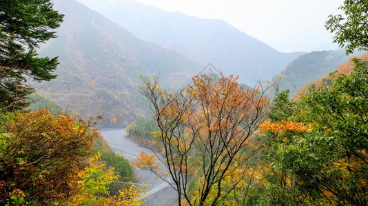 结石农村白色的在雨季日本风景优美秋季有溪流和小木桥白底山层有坡图片