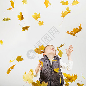 小男孩洒落枫叶图片