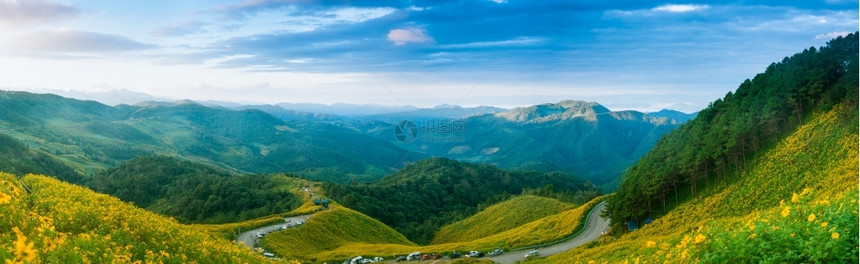 场景通过鲜花田在山路上的作为泰国旅游的一个来源旅游业是泰国的源泉之一云图片